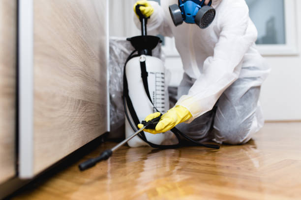Best Rat Extermination Near Me  in Parker, FL