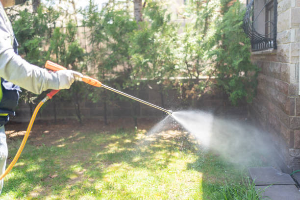 Best Ant Control Services  in Parker, FL