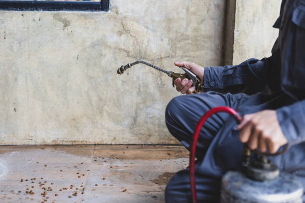 Best Residential Pest Control  in Parker, FL